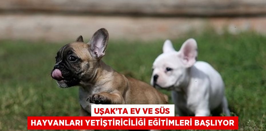 UŞAK’TA EV VE SÜS HAYVANLARI YETİŞTİRİCİLİĞİ EĞİTİMLERİ BAŞLIYOR