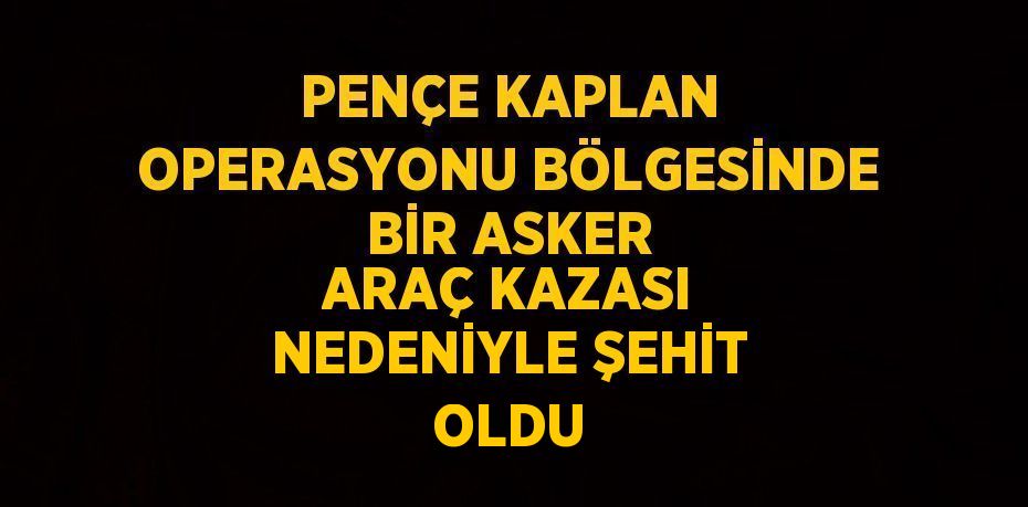 PENÇE KAPLAN OPERASYONU BÖLGESİNDE BİR ASKER ARAÇ KAZASI NEDENİYLE ŞEHİT OLDU