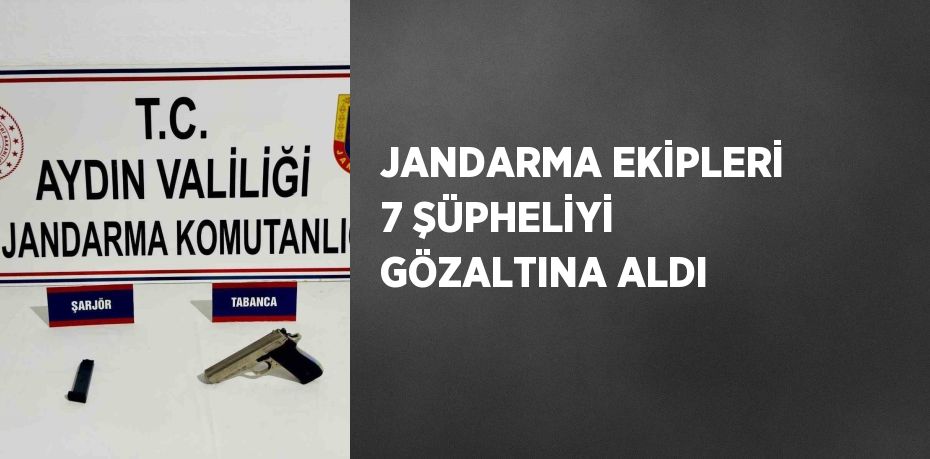 JANDARMA EKİPLERİ 7 ŞÜPHELİYİ GÖZALTINA ALDI