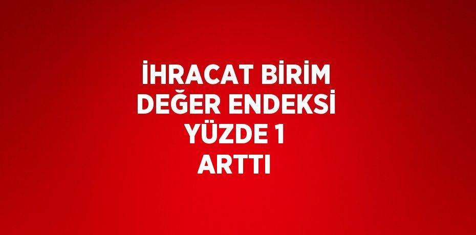 İHRACAT BİRİM DEĞER ENDEKSİ YÜZDE 1 ARTTI