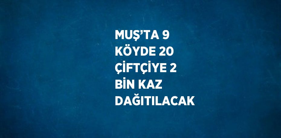 MUŞ’TA 9 KÖYDE 20 ÇİFTÇİYE 2 BİN KAZ DAĞITILACAK