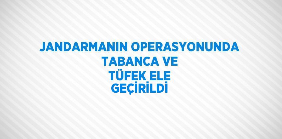 JANDARMANIN OPERASYONUNDA TABANCA VE TÜFEK ELE GEÇİRİLDİ