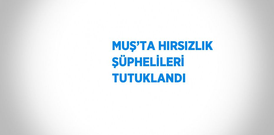 MUŞ’TA HIRSIZLIK ŞÜPHELİLERİ TUTUKLANDI