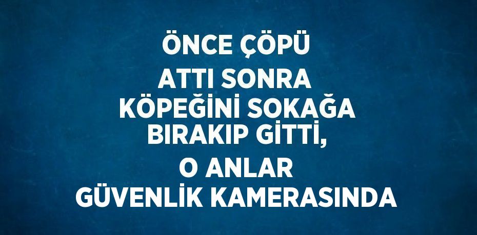 ÖNCE ÇÖPÜ ATTI SONRA KÖPEĞİNİ SOKAĞA BIRAKIP GİTTİ, O ANLAR GÜVENLİK KAMERASINDA