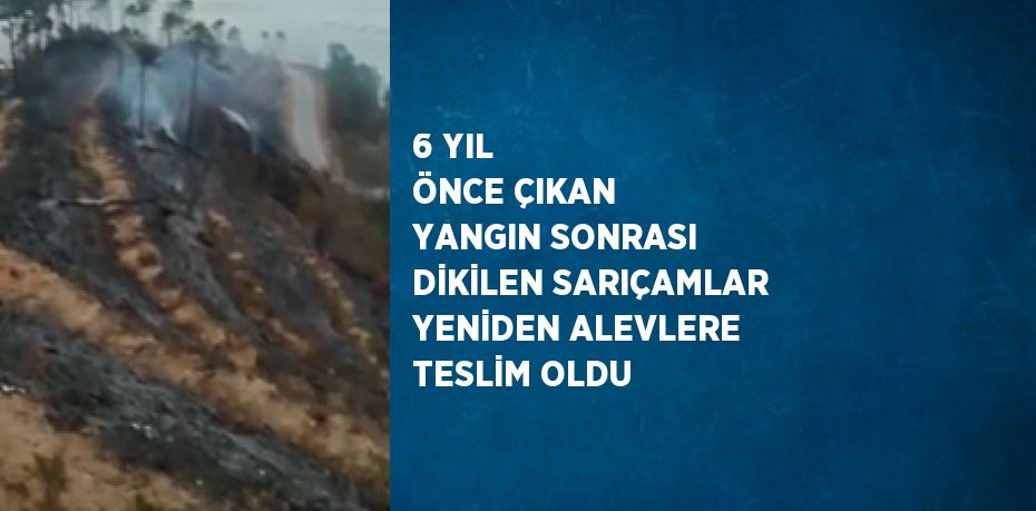 6 YIL ÖNCE ÇIKAN YANGIN SONRASI DİKİLEN SARIÇAMLAR YENİDEN ALEVLERE TESLİM OLDU