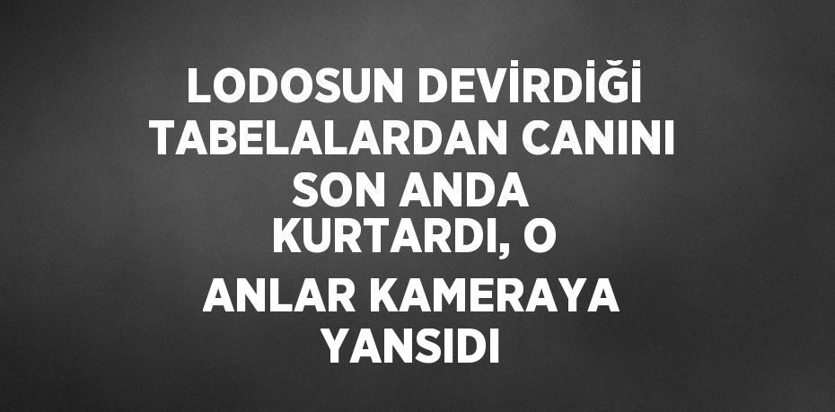 LODOSUN DEVİRDİĞİ TABELALARDAN CANINI SON ANDA KURTARDI, O ANLAR KAMERAYA YANSIDI