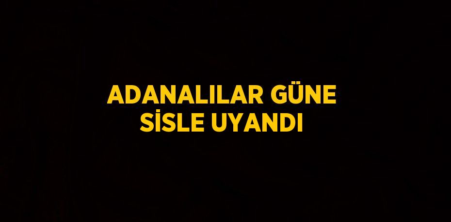 ADANALILAR GÜNE SİSLE UYANDI