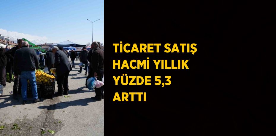 TİCARET SATIŞ HACMİ YILLIK YÜZDE 5,3 ARTTI