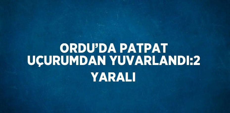 ORDU’DA PATPAT UÇURUMDAN YUVARLANDI:2 YARALI