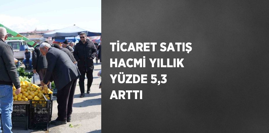 TİCARET SATIŞ HACMİ YILLIK YÜZDE 5,3 ARTTI