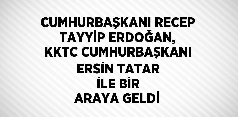 CUMHURBAŞKANI RECEP TAYYİP ERDOĞAN, KKTC CUMHURBAŞKANI ERSİN TATAR İLE BİR ARAYA GELDİ