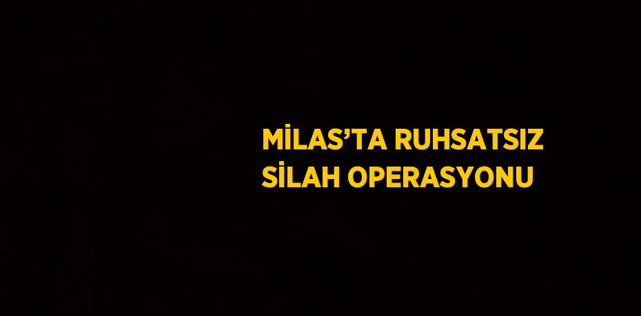 MİLAS’TA RUHSATSIZ SİLAH OPERASYONU