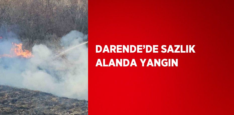 DARENDE’DE SAZLIK ALANDA YANGIN