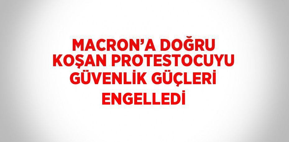 MACRON’A DOĞRU KOŞAN PROTESTOCUYU GÜVENLİK GÜÇLERİ ENGELLEDİ