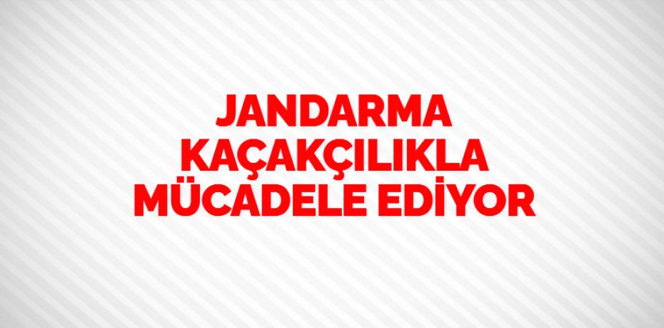 JANDARMA KAÇAKÇILIKLA MÜCADELE EDİYOR