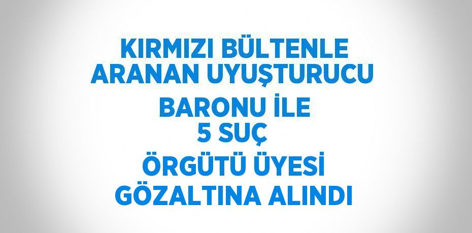 KIRMIZI BÜLTENLE ARANAN UYUŞTURUCU BARONU İLE 5 SUÇ ÖRGÜTÜ ÜYESİ GÖZALTINA ALINDI