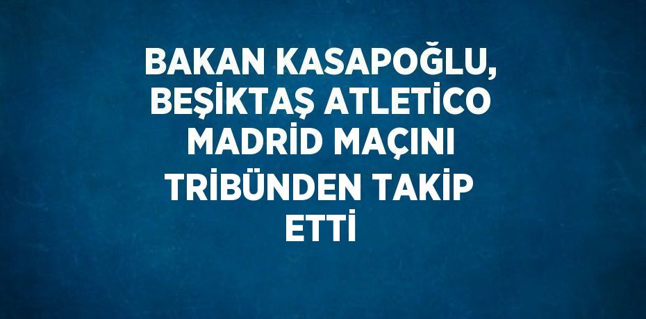 BAKAN KASAPOĞLU, BEŞİKTAŞ ATLETİCO MADRİD MAÇINI TRİBÜNDEN TAKİP ETTİ