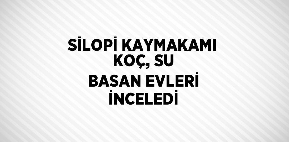 SİLOPİ KAYMAKAMI KOÇ, SU BASAN EVLERİ İNCELEDİ