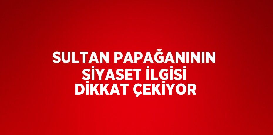 SULTAN PAPAĞANININ SİYASET İLGİSİ DİKKAT ÇEKİYOR