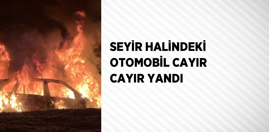 SEYİR HALİNDEKİ OTOMOBİL CAYIR CAYIR YANDI