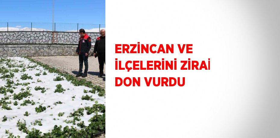 ERZİNCAN VE İLÇELERİNİ ZİRAİ DON VURDU