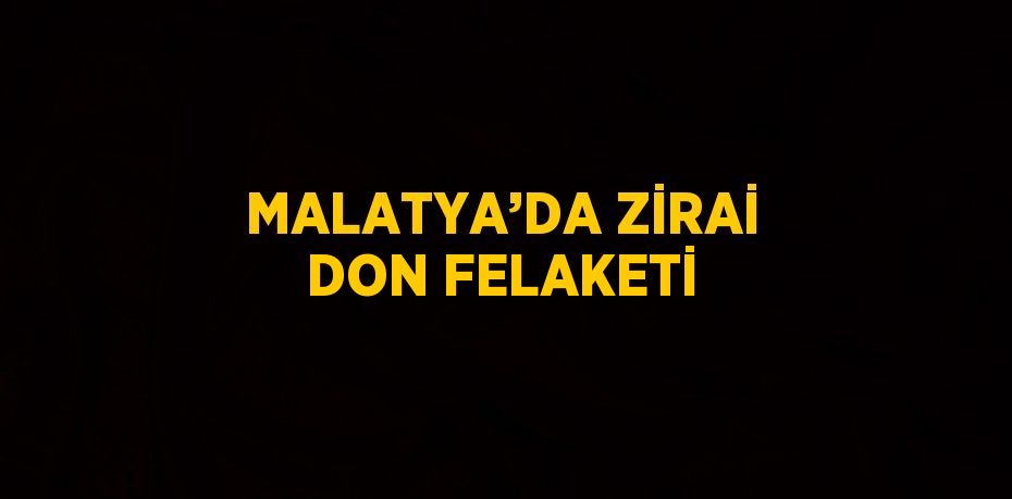 MALATYA’DA ZİRAİ DON FELAKETİ