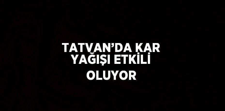 TATVAN’DA KAR YAĞIŞI ETKİLİ OLUYOR
