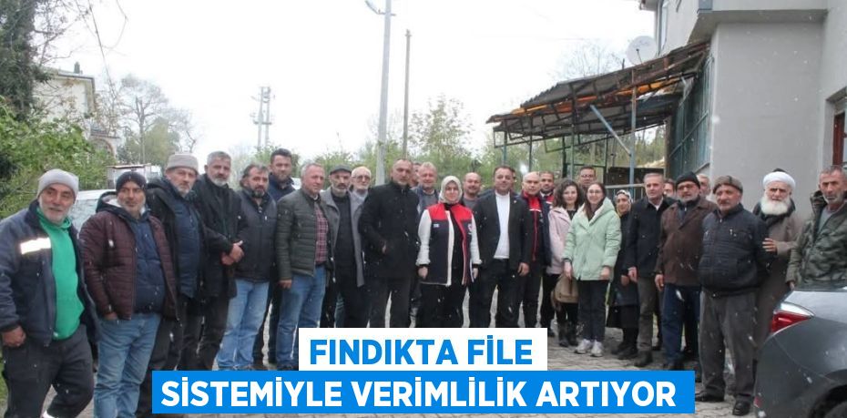 FINDIKTA FİLE SİSTEMİYLE VERİMLİLİK ARTIYOR