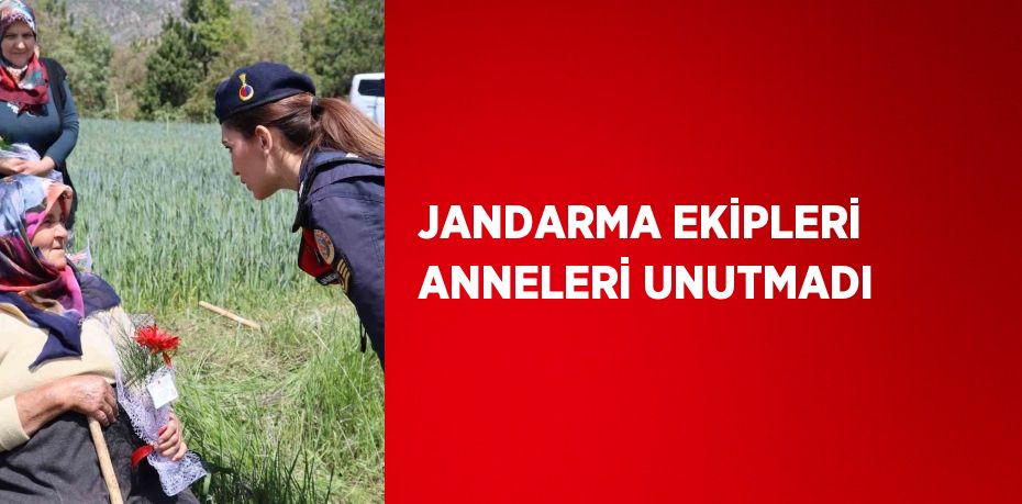 JANDARMA EKİPLERİ ANNELERİ UNUTMADI