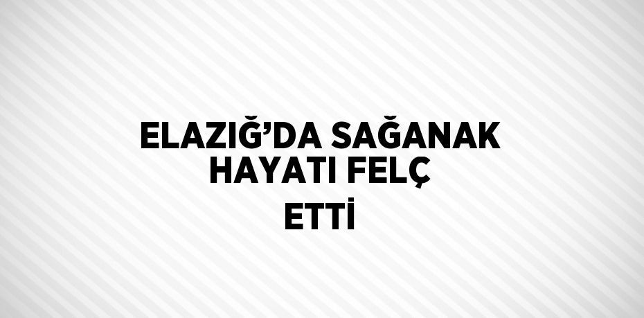 ELAZIĞ’DA SAĞANAK HAYATI FELÇ ETTİ