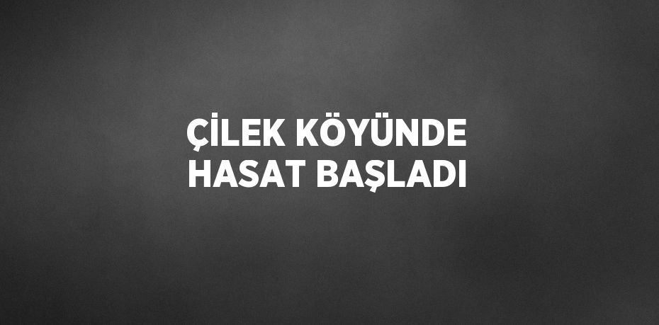 ÇİLEK KÖYÜNDE HASAT BAŞLADI