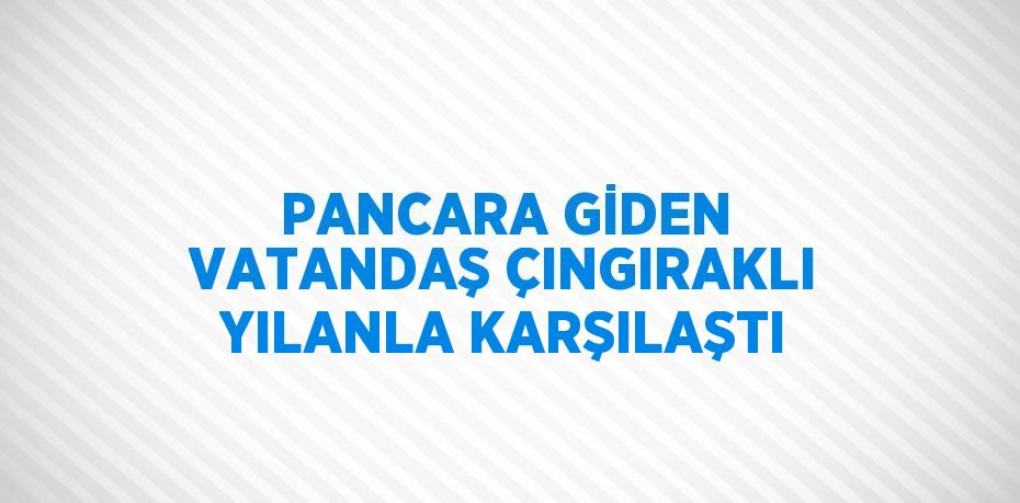 PANCARA GİDEN VATANDAŞ ÇINGIRAKLI YILANLA KARŞILAŞTI