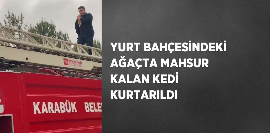 YURT BAHÇESİNDEKİ AĞAÇTA MAHSUR KALAN KEDİ KURTARILDI