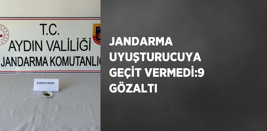 JANDARMA UYUŞTURUCUYA GEÇİT VERMEDİ:9 GÖZALTI