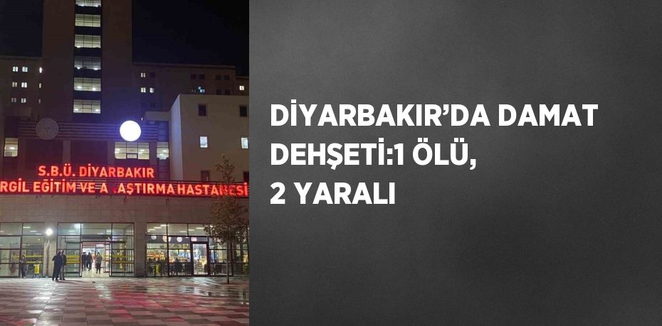 DİYARBAKIR’DA DAMAT DEHŞETİ:1 ÖLÜ, 2 YARALI