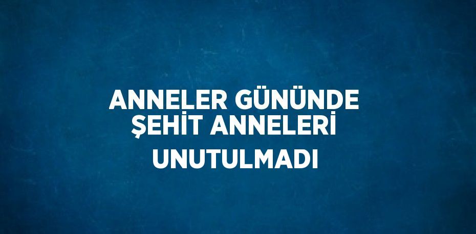 ANNELER GÜNÜNDE ŞEHİT ANNELERİ UNUTULMADI