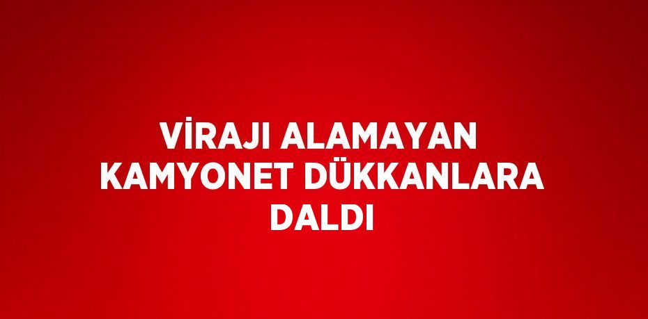 VİRAJI ALAMAYAN KAMYONET DÜKKANLARA DALDI