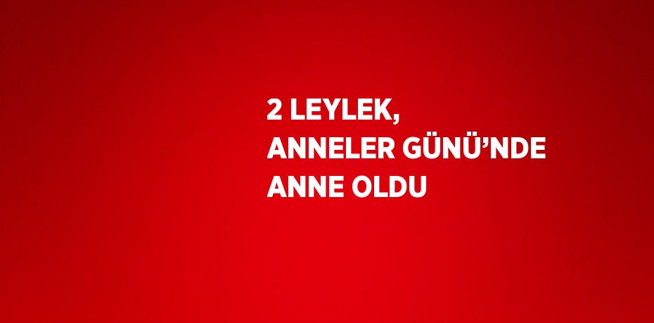 2 LEYLEK, ANNELER GÜNÜ’NDE ANNE OLDU