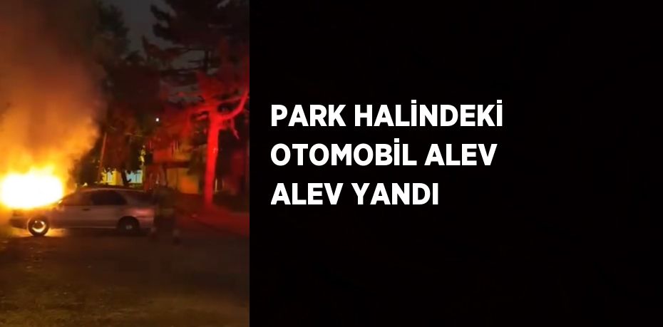 PARK HALİNDEKİ OTOMOBİL ALEV ALEV YANDI