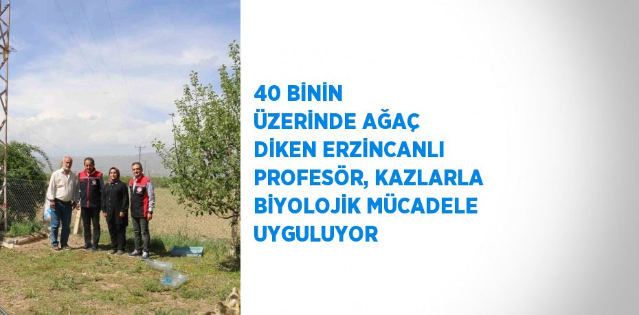 40 BİNİN ÜZERİNDE AĞAÇ DİKEN ERZİNCANLI PROFESÖR, KAZLARLA BİYOLOJİK MÜCADELE UYGULUYOR
