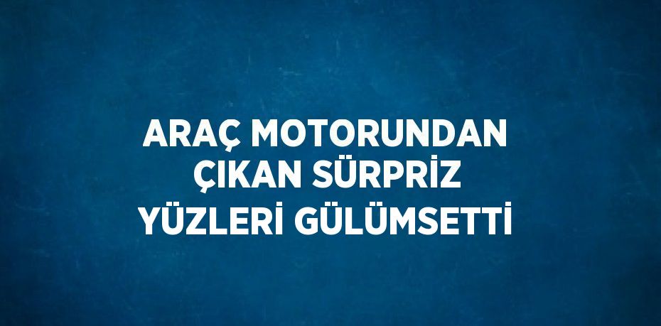 ARAÇ MOTORUNDAN ÇIKAN SÜRPRİZ YÜZLERİ GÜLÜMSETTİ