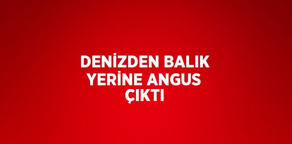 DENİZDEN BALIK YERİNE ANGUS ÇIKTI