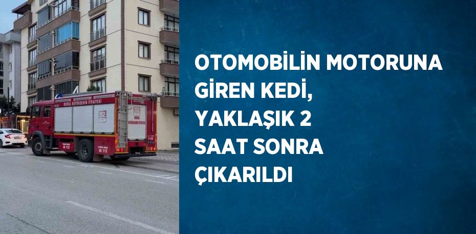 OTOMOBİLİN MOTORUNA GİREN KEDİ, YAKLAŞIK 2 SAAT SONRA ÇIKARILDI