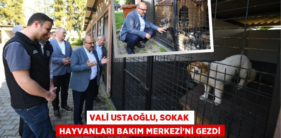 VALİ USTAOĞLU, SOKAK HAYVANLARI BAKIM MERKEZİ’Nİ GEZDİ