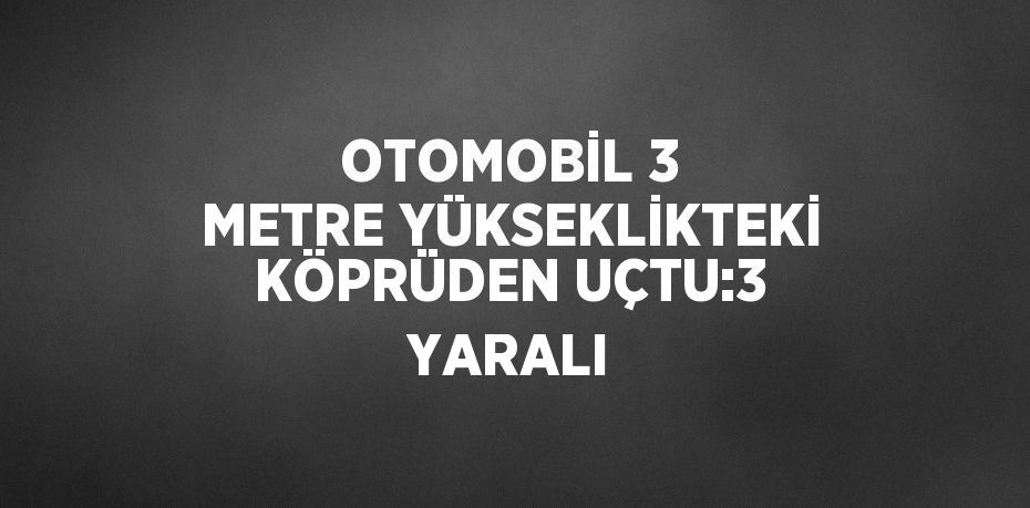 OTOMOBİL 3 METRE YÜKSEKLİKTEKİ KÖPRÜDEN UÇTU:3 YARALI