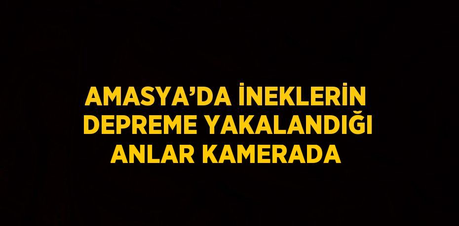 AMASYA’DA İNEKLERİN DEPREME YAKALANDIĞI ANLAR KAMERADA