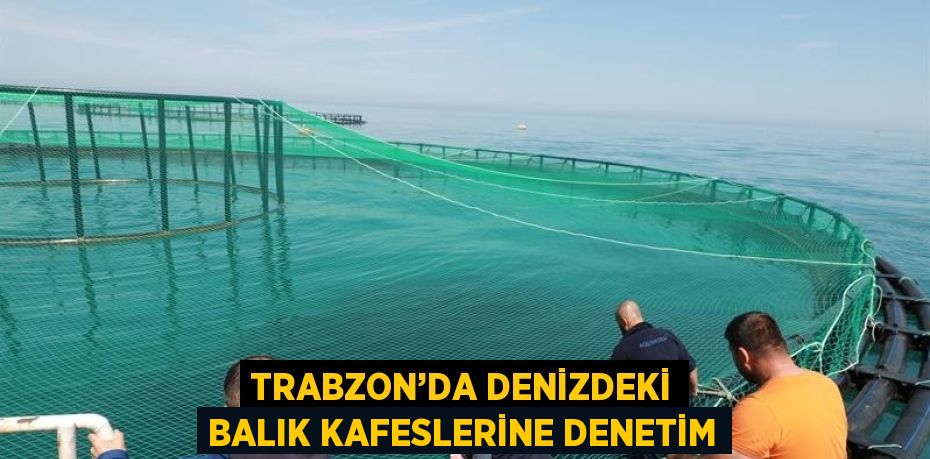 TRABZON’DA DENİZDEKİ BALIK KAFESLERİNE DENETİM