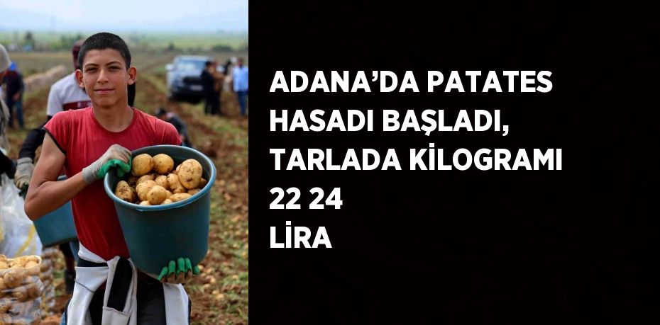 ADANA’DA PATATES HASADI BAŞLADI, TARLADA KİLOGRAMI 22 24 LİRA