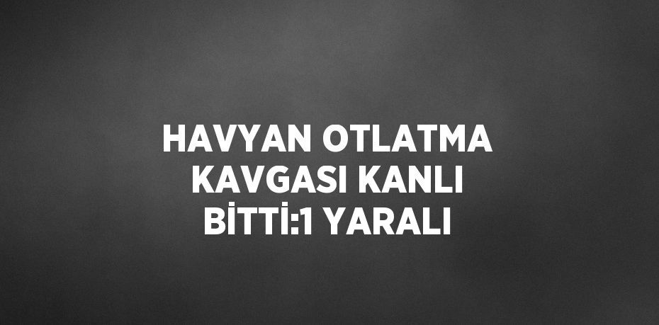 HAVYAN OTLATMA KAVGASI KANLI BİTTİ:1 YARALI