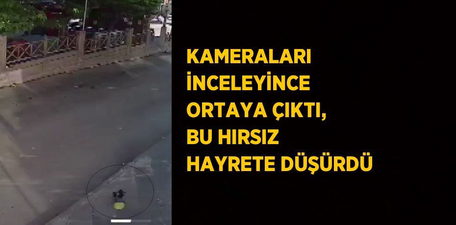 KAMERALARI İNCELEYİNCE ORTAYA ÇIKTI, BU HIRSIZ HAYRETE DÜŞÜRDÜ